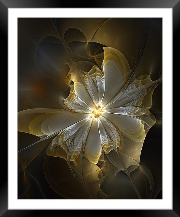 Silver and Gold Framed Mounted Print by Amanda Moore