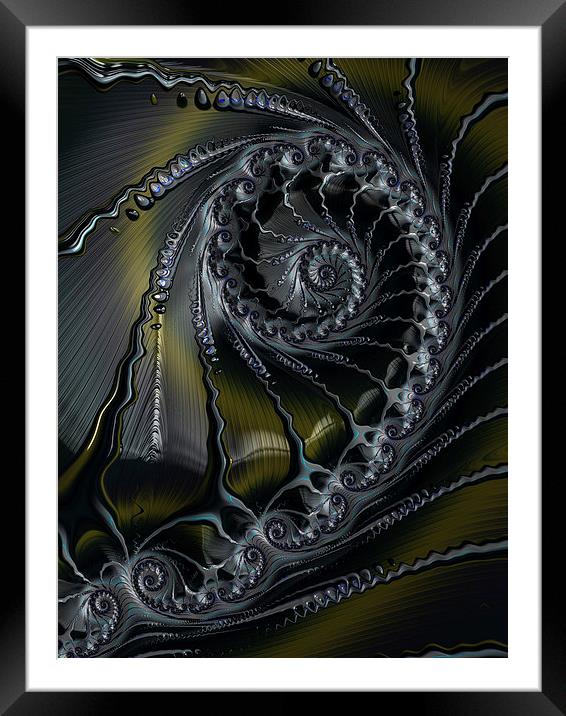  Spiral in Pewter Framed Mounted Print by Amanda Moore