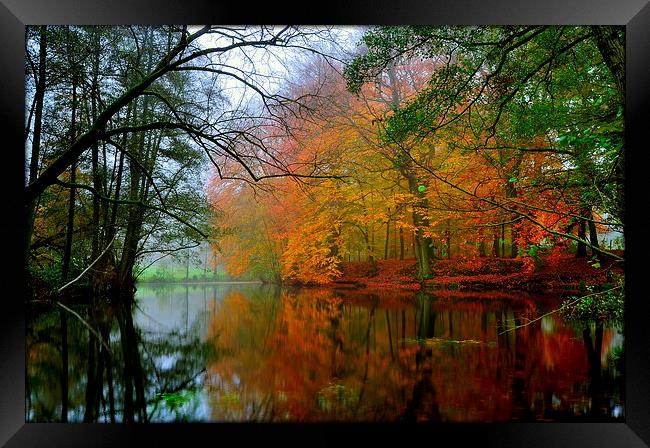 Autumn Framed Print by Ron Ver