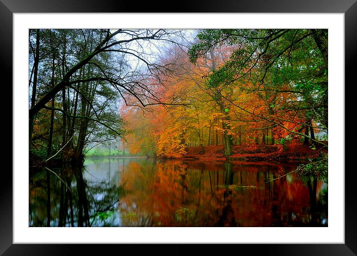 Autumn Framed Mounted Print by Ron Ver