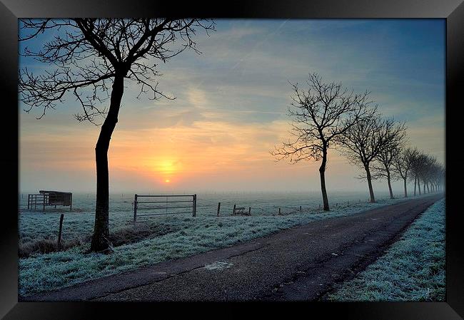 Winter Sunrise Framed Print by Ron Ver
