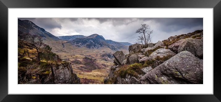 Tree with a view Framed Mounted Print by Mike Higginson