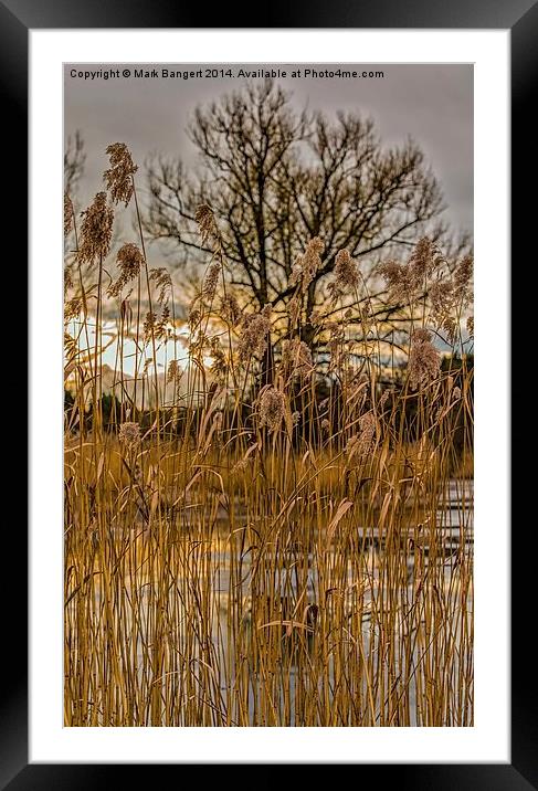 The Lake in Winter Framed Mounted Print by Mark Bangert