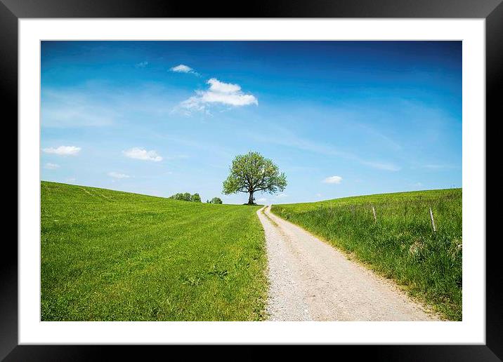 The Road Ahead Framed Mounted Print by Mark Bangert