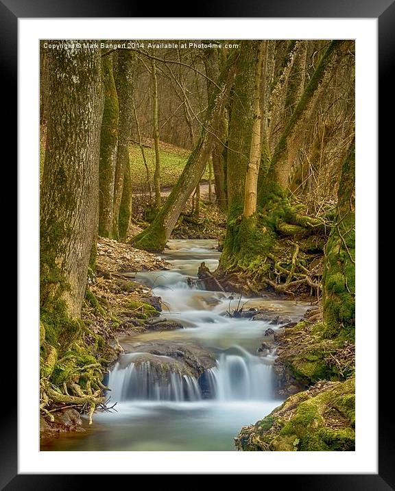 Babbling Brook 4 Framed Mounted Print by Mark Bangert