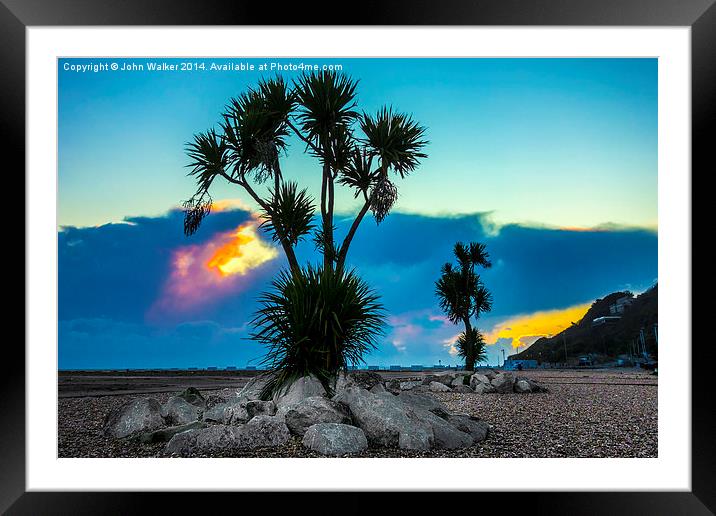 Palm Trees Folkestone Beach Framed Mounted Print by John B Walker LRPS