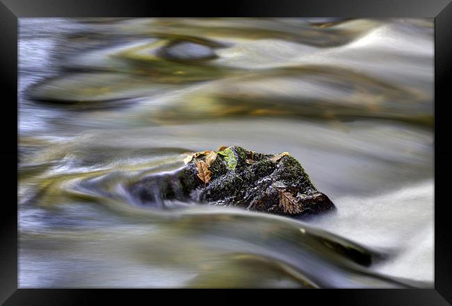 Autumn River Rock Framed Print by Mike Gorton