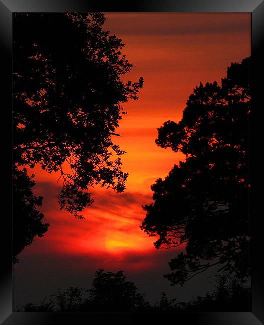 Sunset Between The trees Framed Print by Mike Gorton