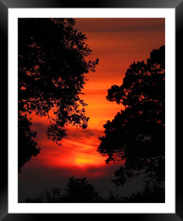 Sunset Between The trees Framed Mounted Print by Mike Gorton