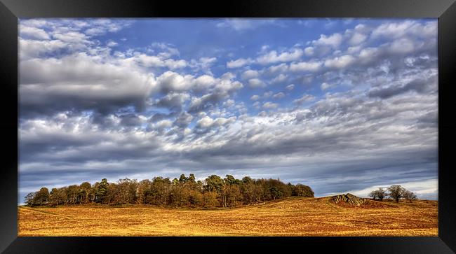 Trees looking over Bradgate Park Framed Print by Mike Gorton