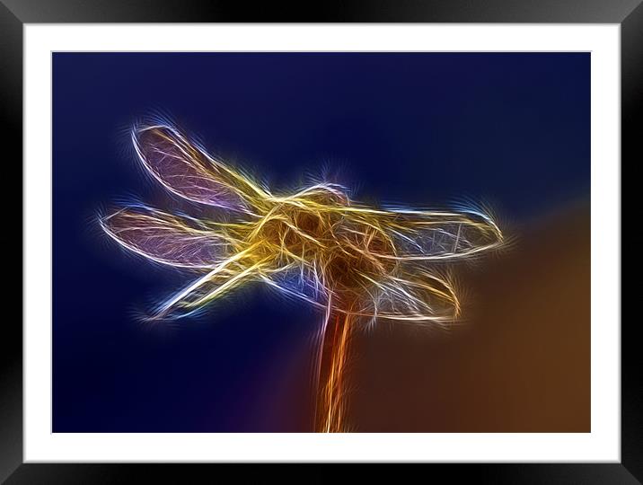Electric Dragonfly Framed Mounted Print by Mike Gorton