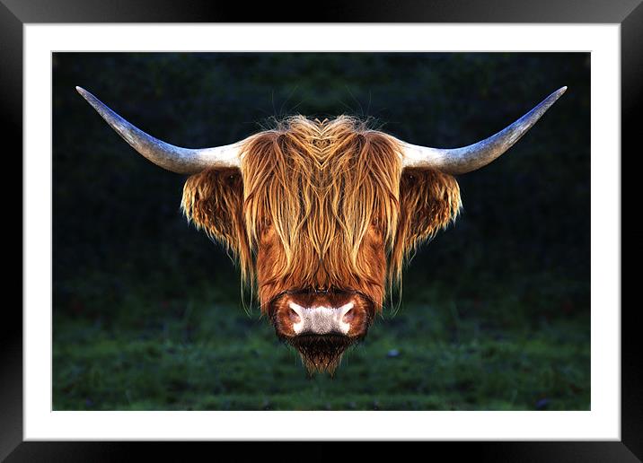 Long Horn Cow abstract Framed Mounted Print by Mike Gorton
