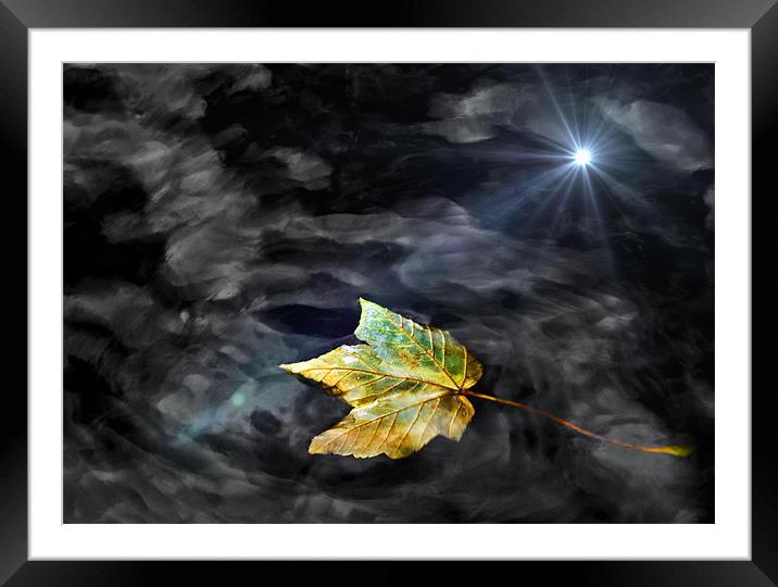 Last of The Summer leaves Framed Mounted Print by Mike Gorton