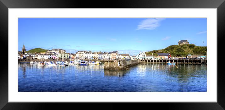 Ilfracombe Harbour Panoramic Framed Mounted Print by Mike Gorton