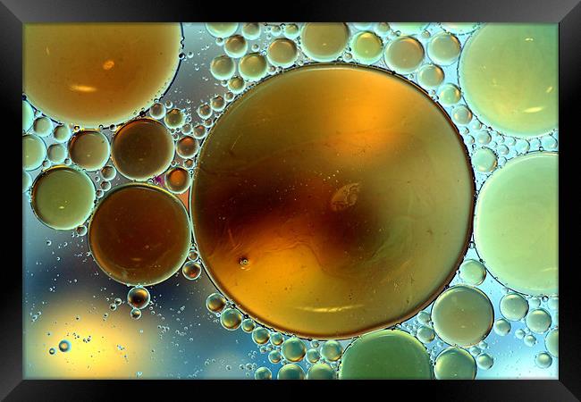 Oil Droplets Framed Print by Mike Gorton