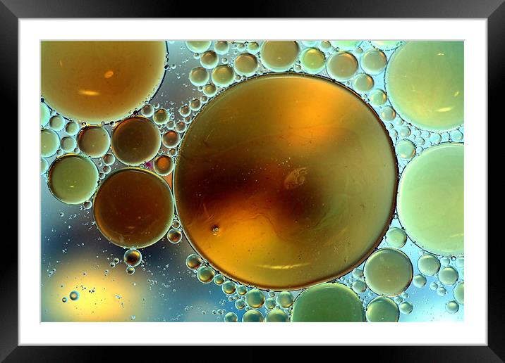 Oil Droplets Framed Mounted Print by Mike Gorton
