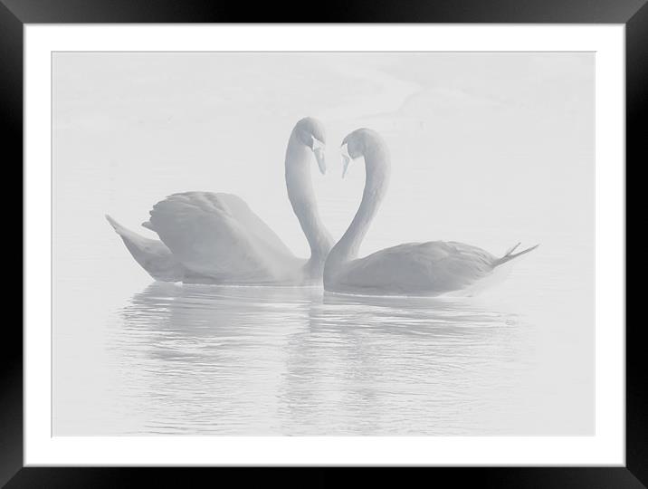 You are My Valentine Framed Mounted Print by Mike Gorton