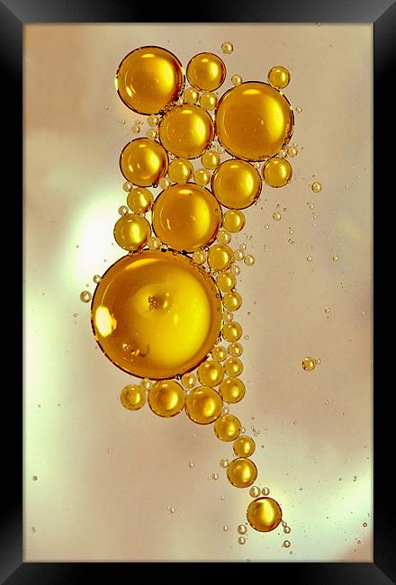 Oil Droplets Framed Print by Mike Gorton