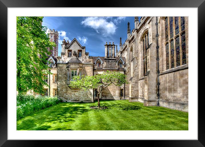 Cambridge University Courtyard Framed Mounted Print by Mike Gorton