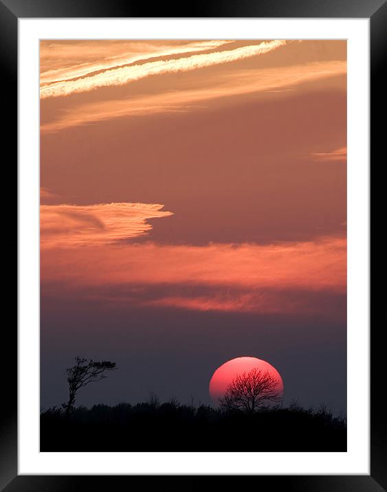 Sunset behind the trees Framed Mounted Print by Mike Gorton