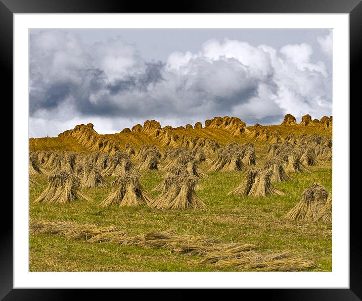 Sheaves of Straw Framed Mounted Print by Mike Gorton