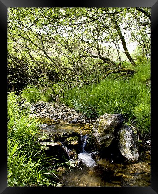 Exmoor Stream Framed Print by Mike Gorton
