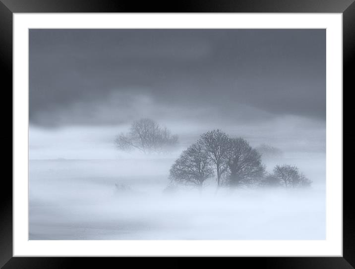 Misty Trees Framed Mounted Print by Mike Gorton
