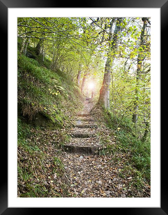 Stairway to ? Framed Mounted Print by Mike Gorton