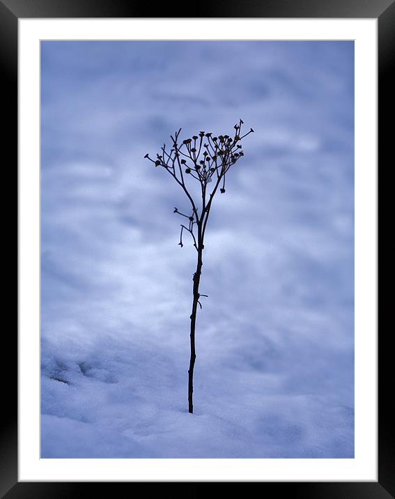 Frozen Framed Mounted Print by Mike Gorton