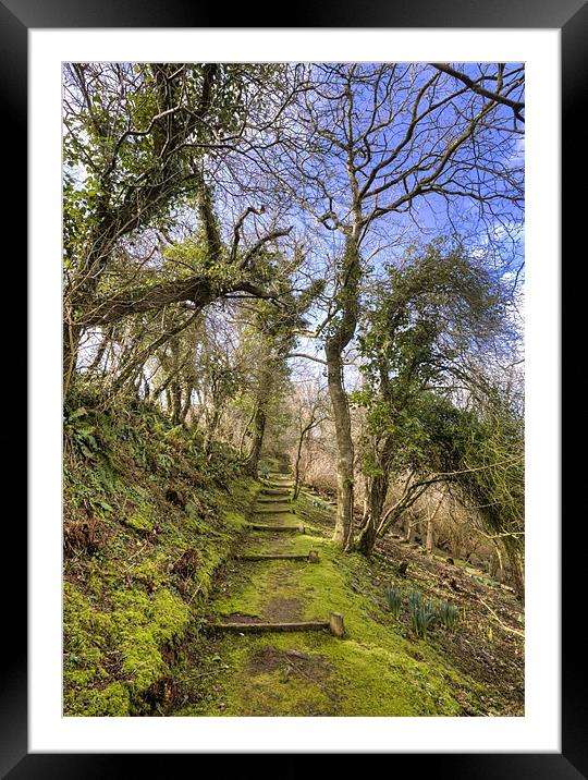 Mossy Steps Framed Mounted Print by Mike Gorton