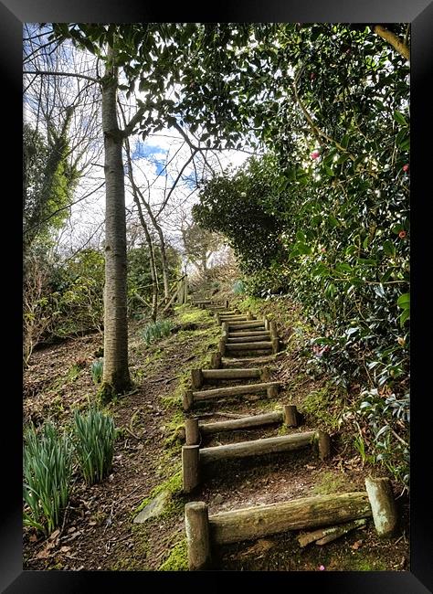 Crooked Steps Framed Print by Mike Gorton