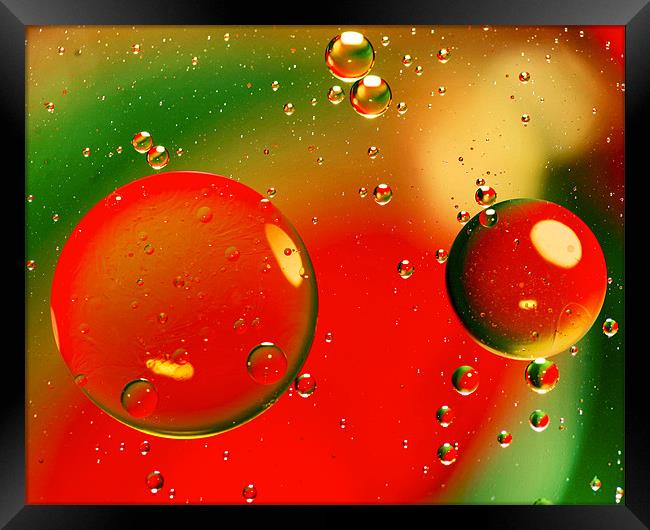 Vivid Oil Droplets Framed Print by Mike Gorton