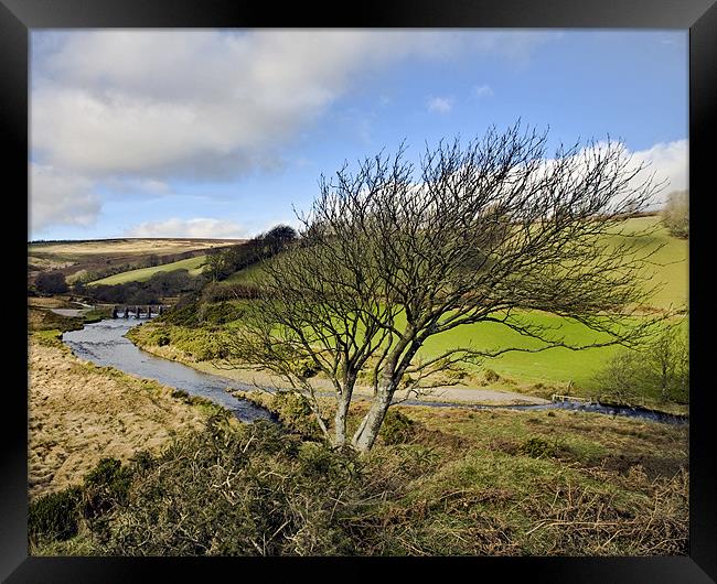 Tree with a view over Landacre Bridge Framed Print by Mike Gorton