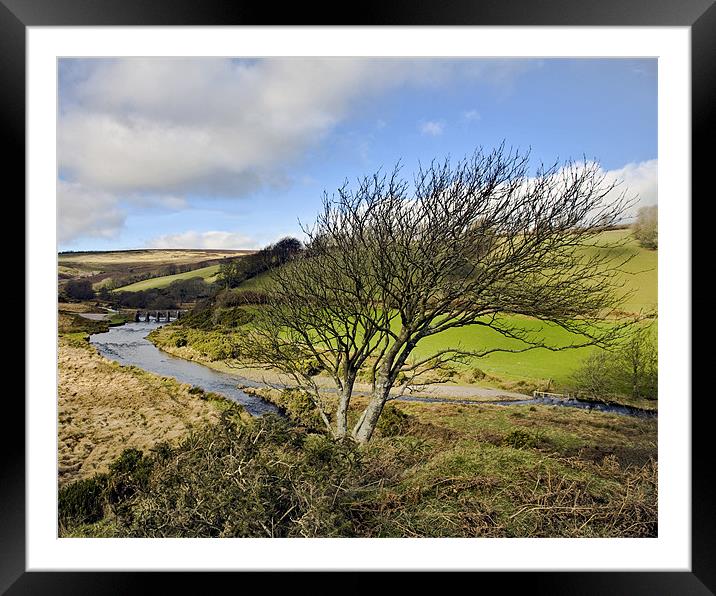 Tree with a view over Landacre Bridge Framed Mounted Print by Mike Gorton