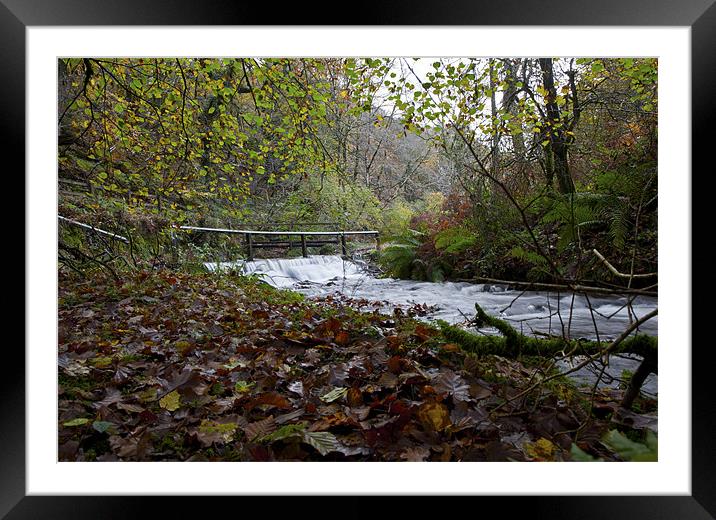 Autumn Arrives on Exmoor Framed Mounted Print by Mike Gorton