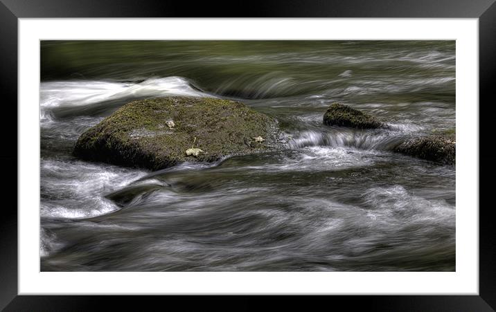 Three Leaves on A Rock Framed Mounted Print by Mike Gorton
