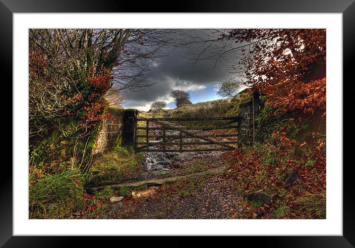Gateway To Autumn Framed Mounted Print by Mike Gorton