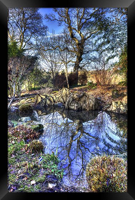 Winter Pond Framed Print by Mike Gorton