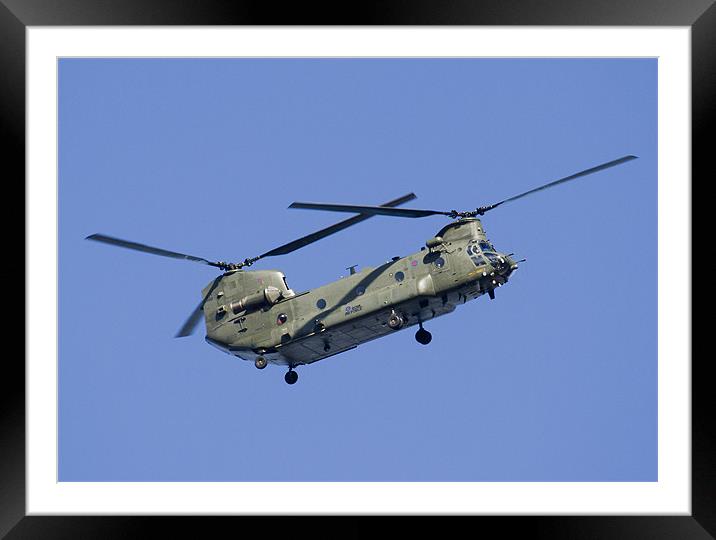 Chinook Framed Mounted Print by Mike Gorton