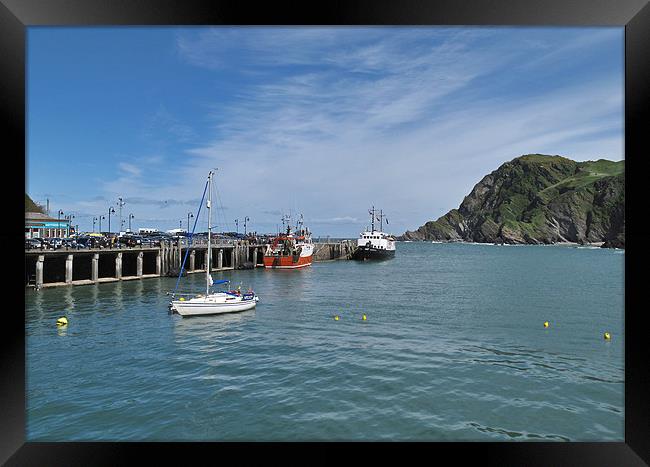 Ilfracombe Harbour Framed Print by Mike Gorton