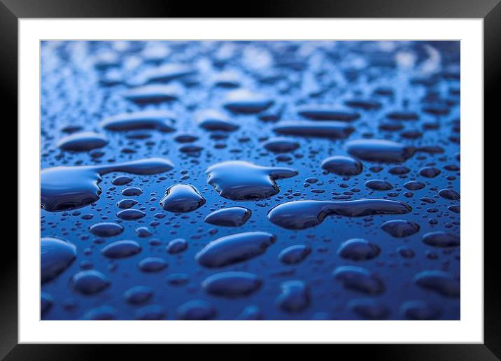  Rain Beads  Framed Mounted Print by Tim Bell