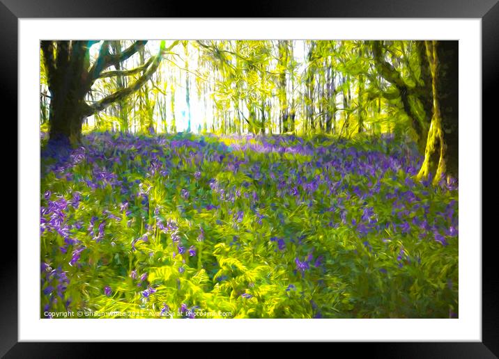 Bluebell Dawn Framed Mounted Print by Shaun White