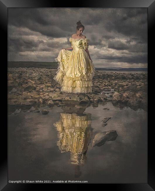 The Dress Framed Print by Shaun White