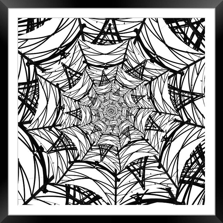 Spiderweb Pylon Framed Mounted Print by Shaun White