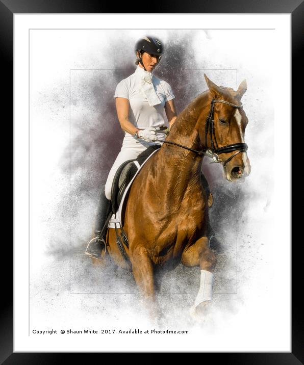 Dressage 2 Framed Mounted Print by Shaun White
