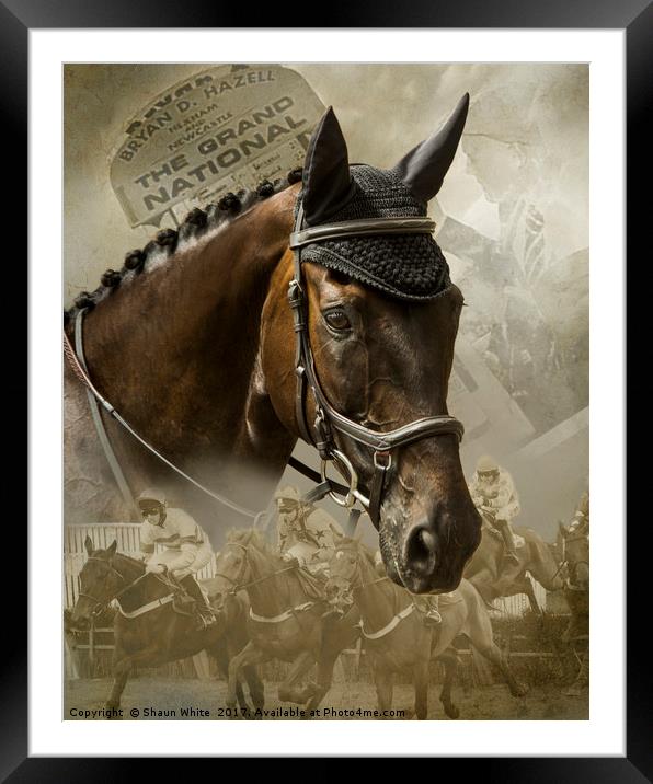 Race Horse Dreams Framed Mounted Print by Shaun White