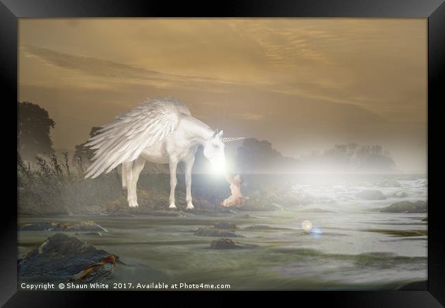 Morning Unicorn Framed Print by Shaun White