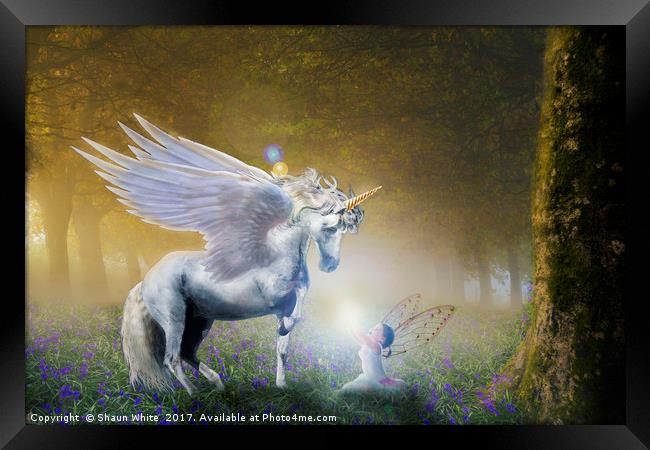 Bluebell Unicorn Framed Print by Shaun White