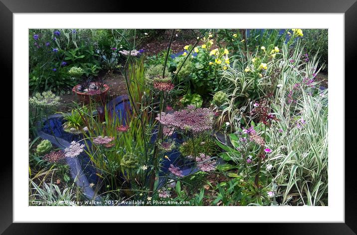 wildlife pond with ornamental plants Framed Mounted Print by Audrey Walker