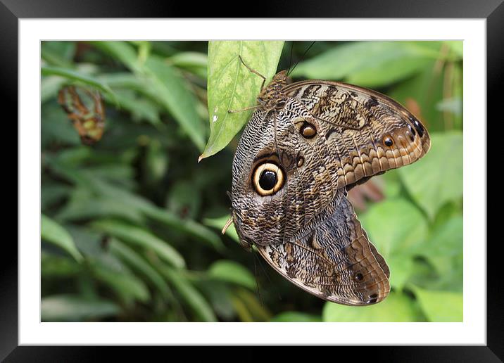 moment of intimacy Framed Mounted Print by Piet Peters